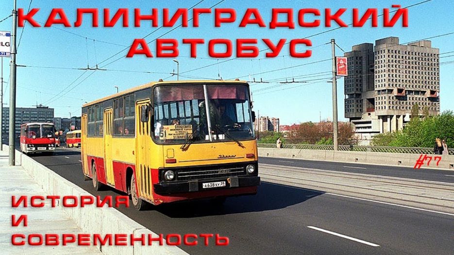 Калининградские автобусы.  История и современность.  #77