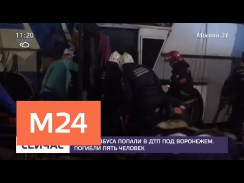 Два автобуса попали в ДТП под Воронежем — Москва 24