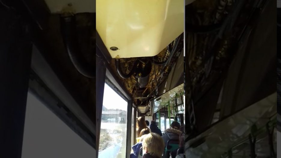 Салон 400-го автобуса разваливается во время поездки в Москву