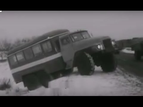 Автобусы КАвЗ 1982